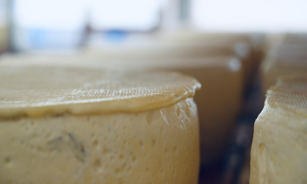 ŠTA SE DESILO SA ŠVAJCARSKIM SIROM? Posle ovoga, možda ga više nećete kupovati...