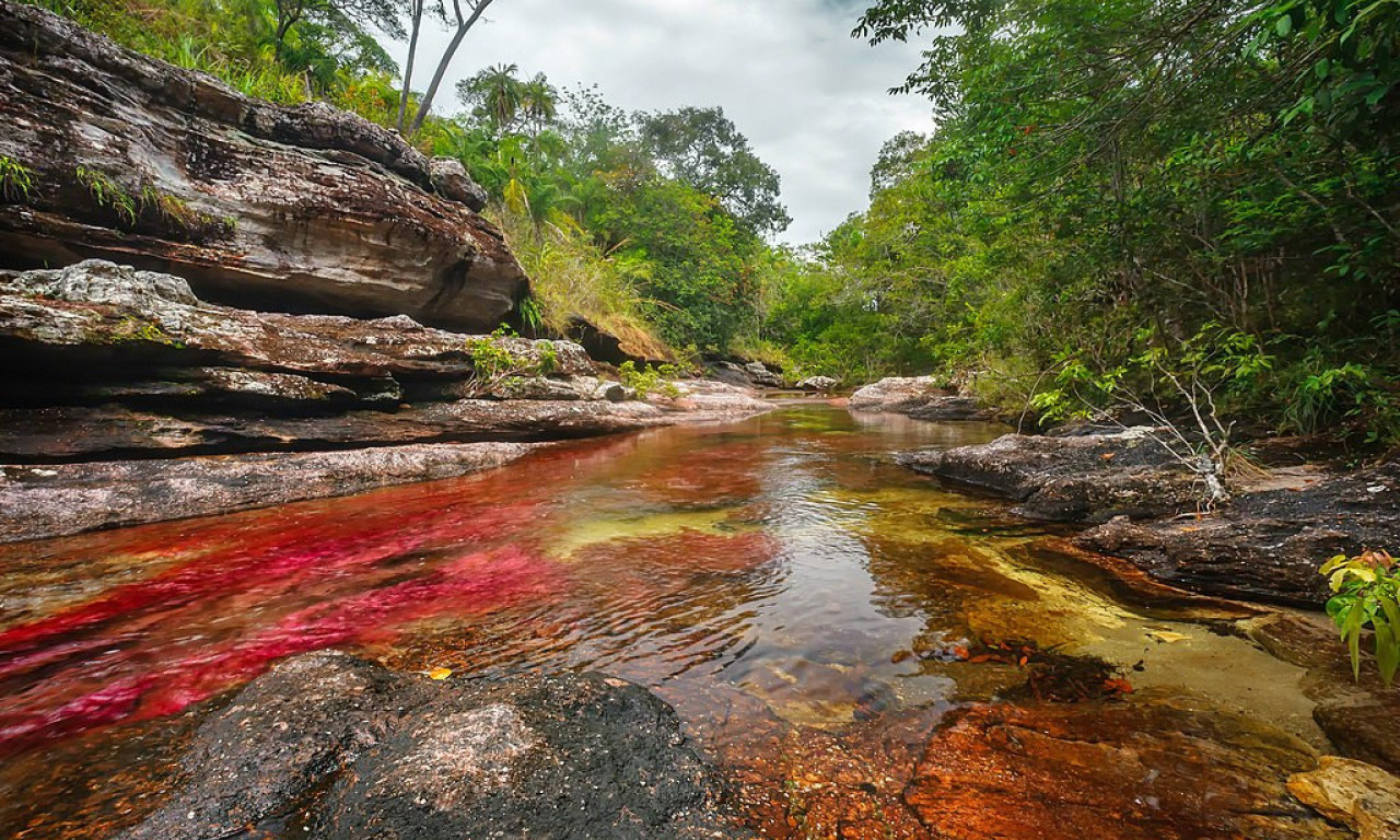 DUGA KOJA TEČE: Ova reka u Kolumbiji je NAJLEPŠA NA SVETU