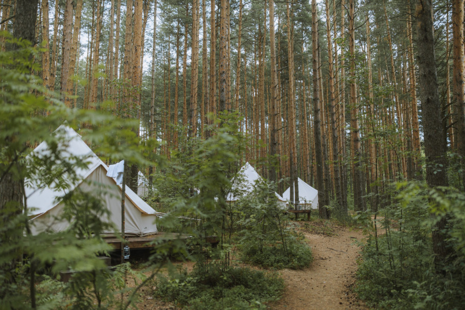 Šuma sa glamping šatorima