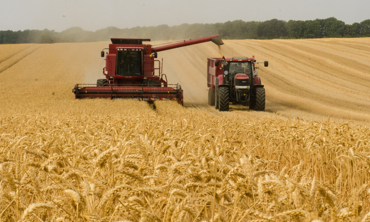 Vlada Srbije DONELA ODLUKU: Ukinuta ZABRANA IZVOZA pšenice i kukuruza