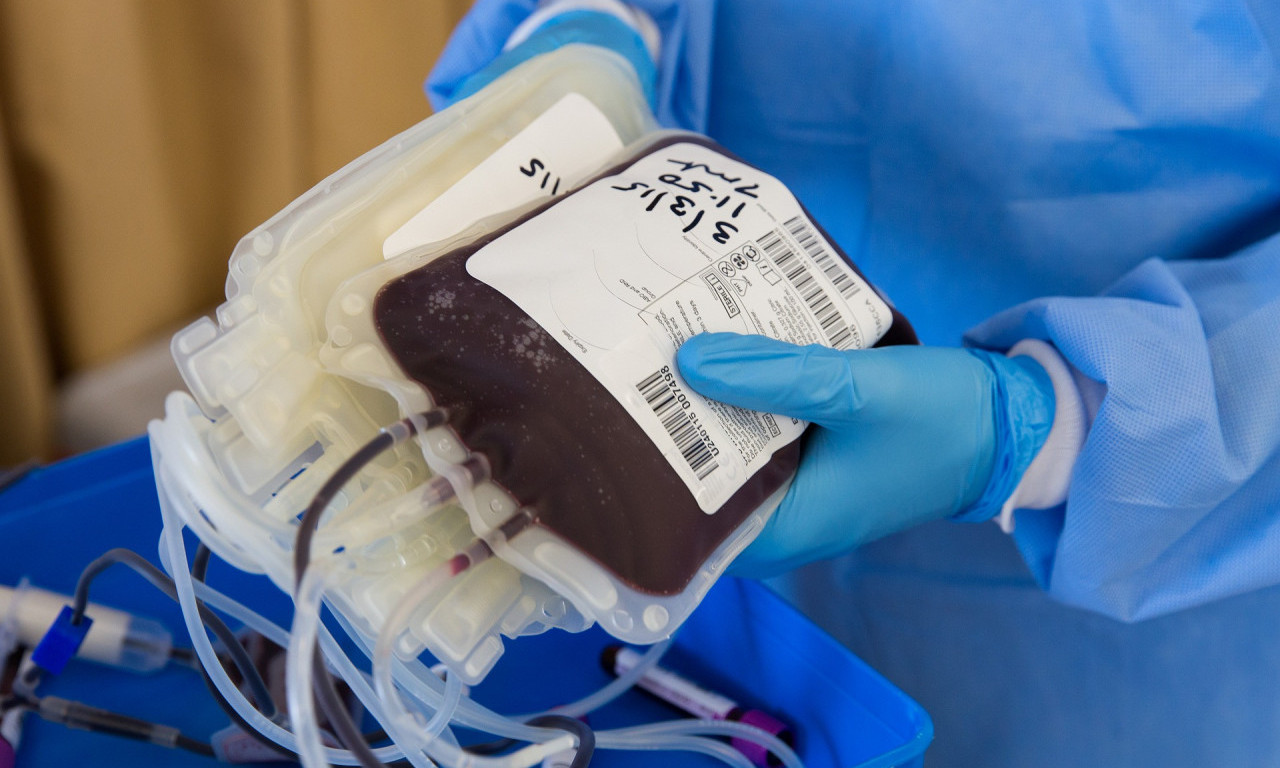 APEL Instituta za transfuziju Srbije: DAJTE KRV - spasite život