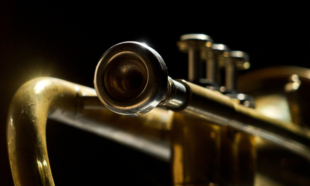 Pretučeni TRUBAČI u Beton hali: Konkurenti ih PALICAMA mlatili