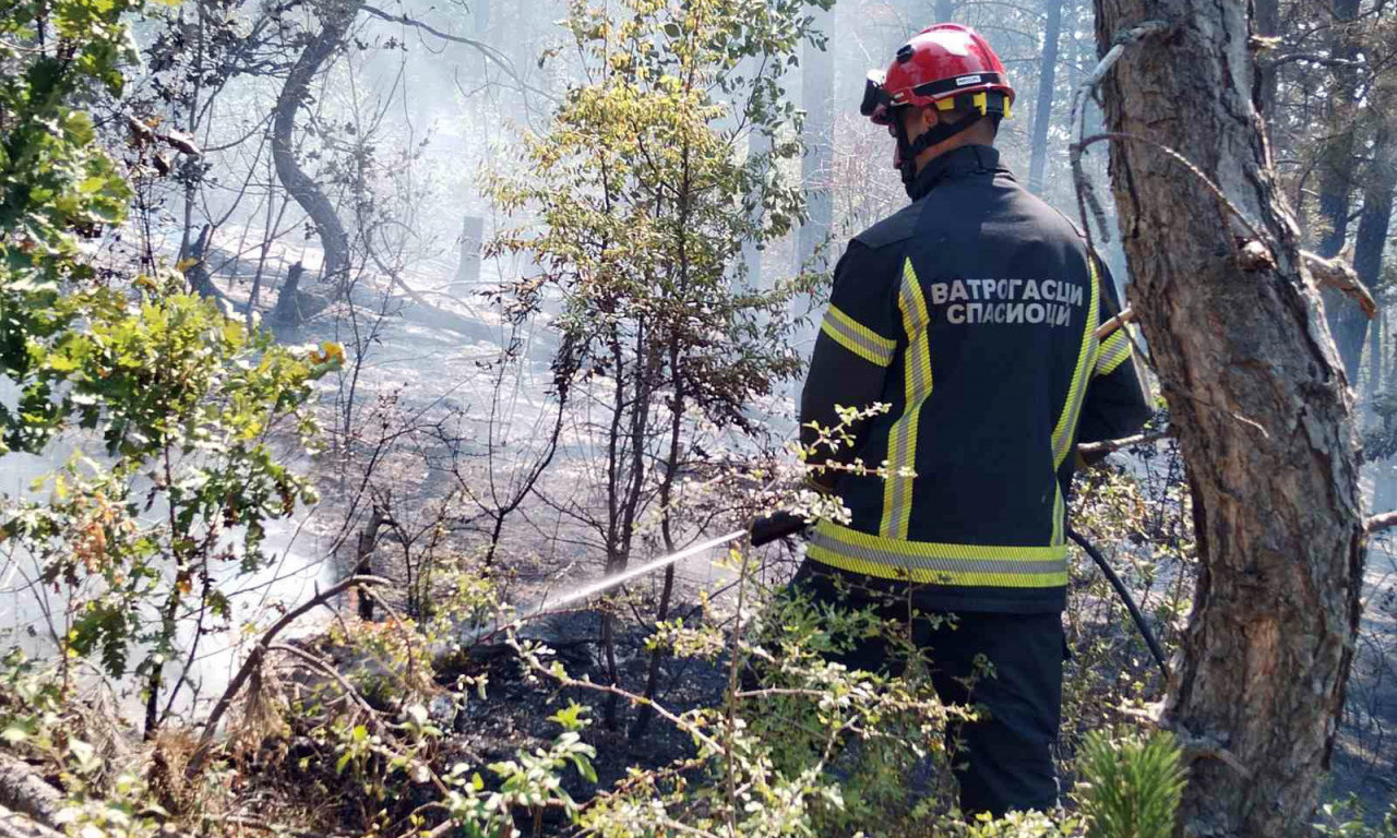 Izgorelo 20 hektara šume kod Priboja - kuće više nisu ugrožene