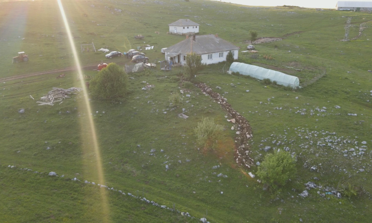 MEŠTANI PEŠTERA U PANICI Čopor opasnih zveri nadomak naselja, kamera zabeležila strahovit prizor (FOTO)