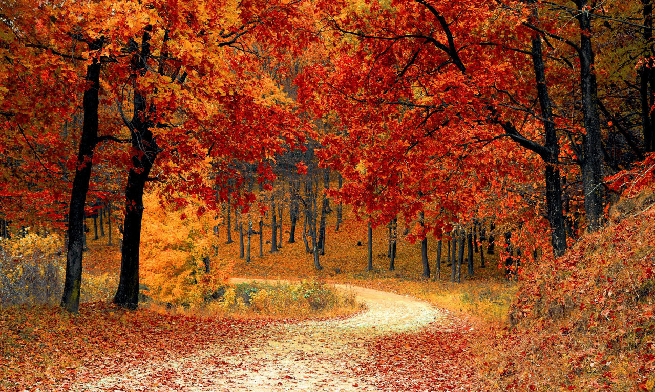 7 inspirativnih EVROPSKIH destinacija za LJUBITELJE jesenjih PUTOVANJA