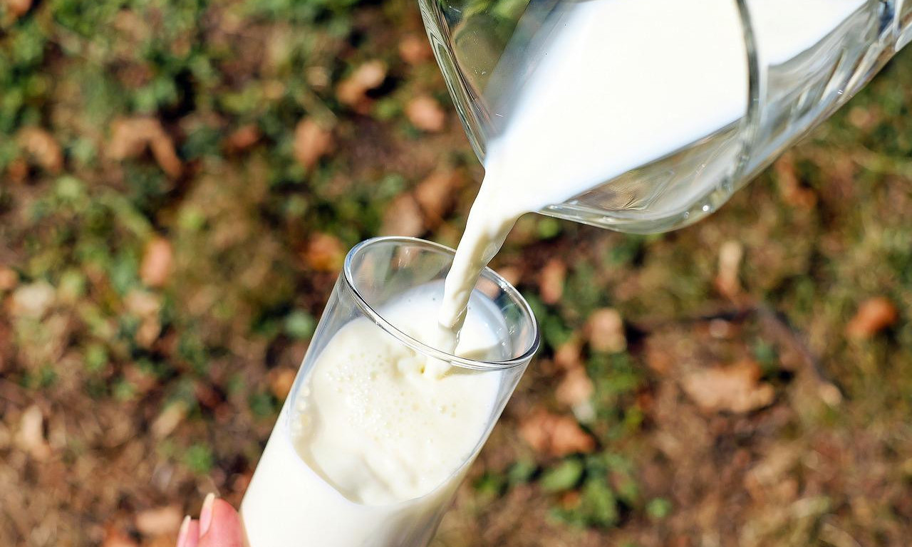 Prazni rafovi sa mlekom U SAMOPOSLUGAMA - proizvodnja smanjena za TREĆINU