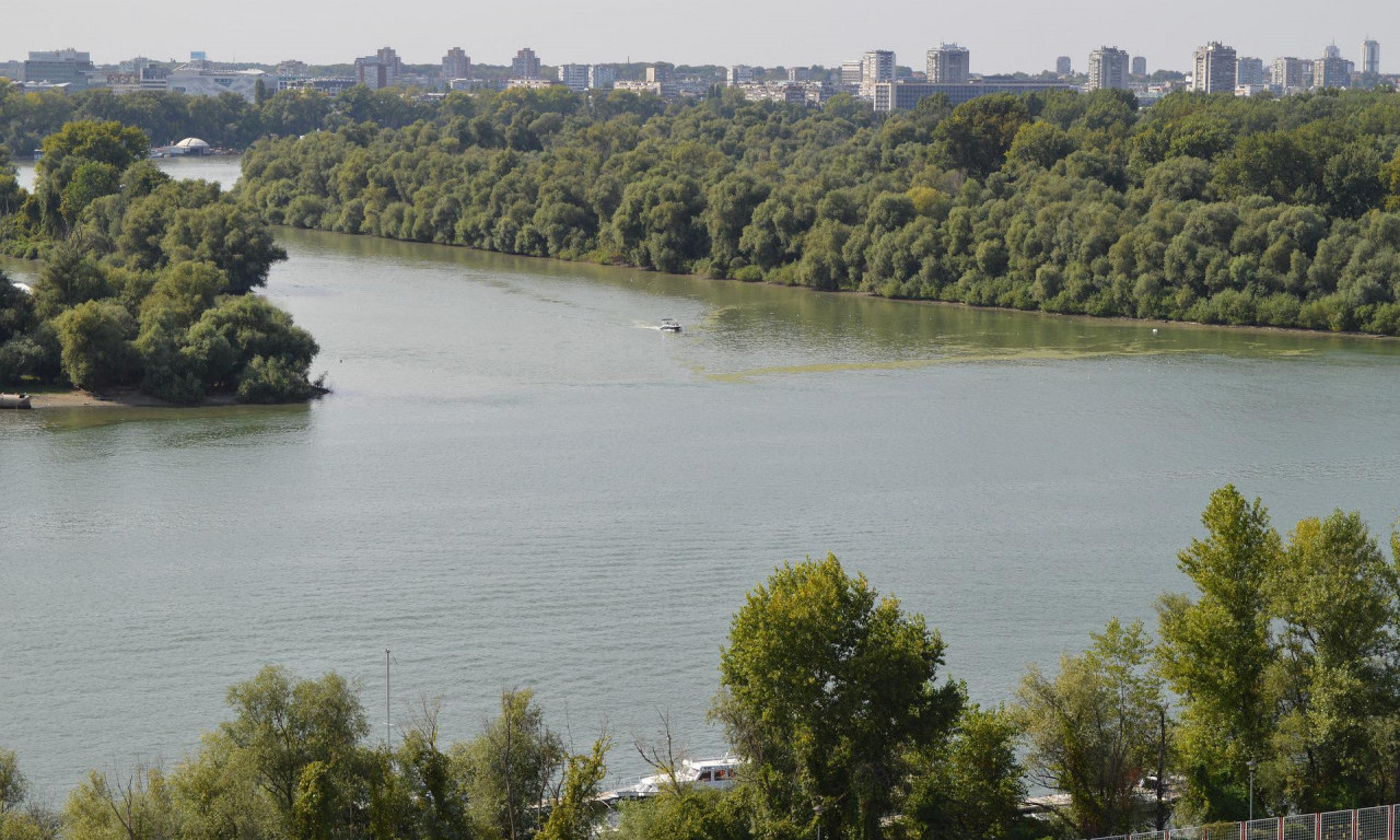 Majka potvrdila: Telo nađeno u Dunavu je Davidovo