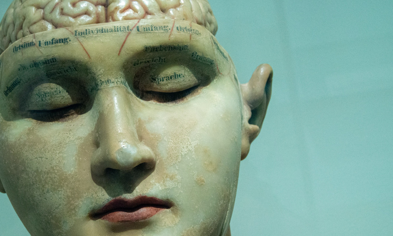 Misterija 10.000 LJUDSKIH MOZGOVA koji se čuvaju u PODRUMU: Kakvu to MRAČNU TAJNU čuvaju danski psihijatri?