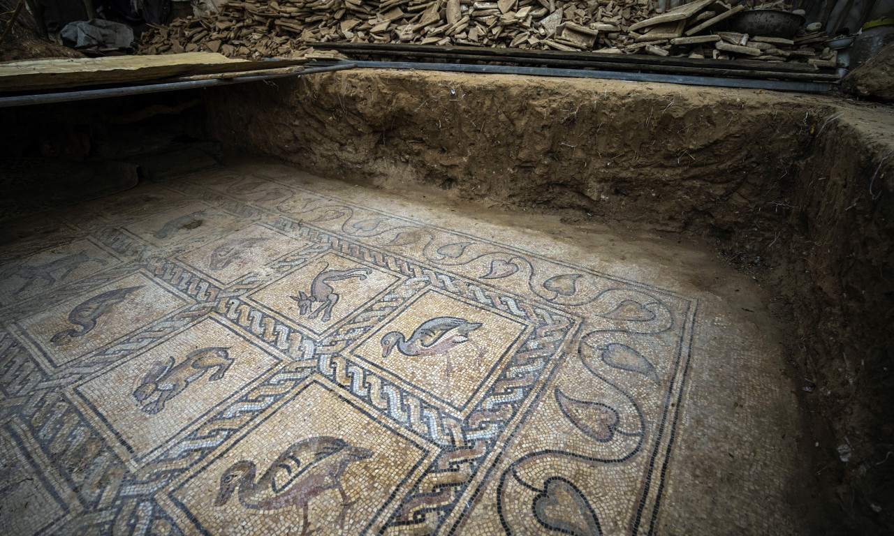 PALESTINSKI farmer SLUČAJNO otkrio PREDIVNI mozaik iz doba VIZANTIJE