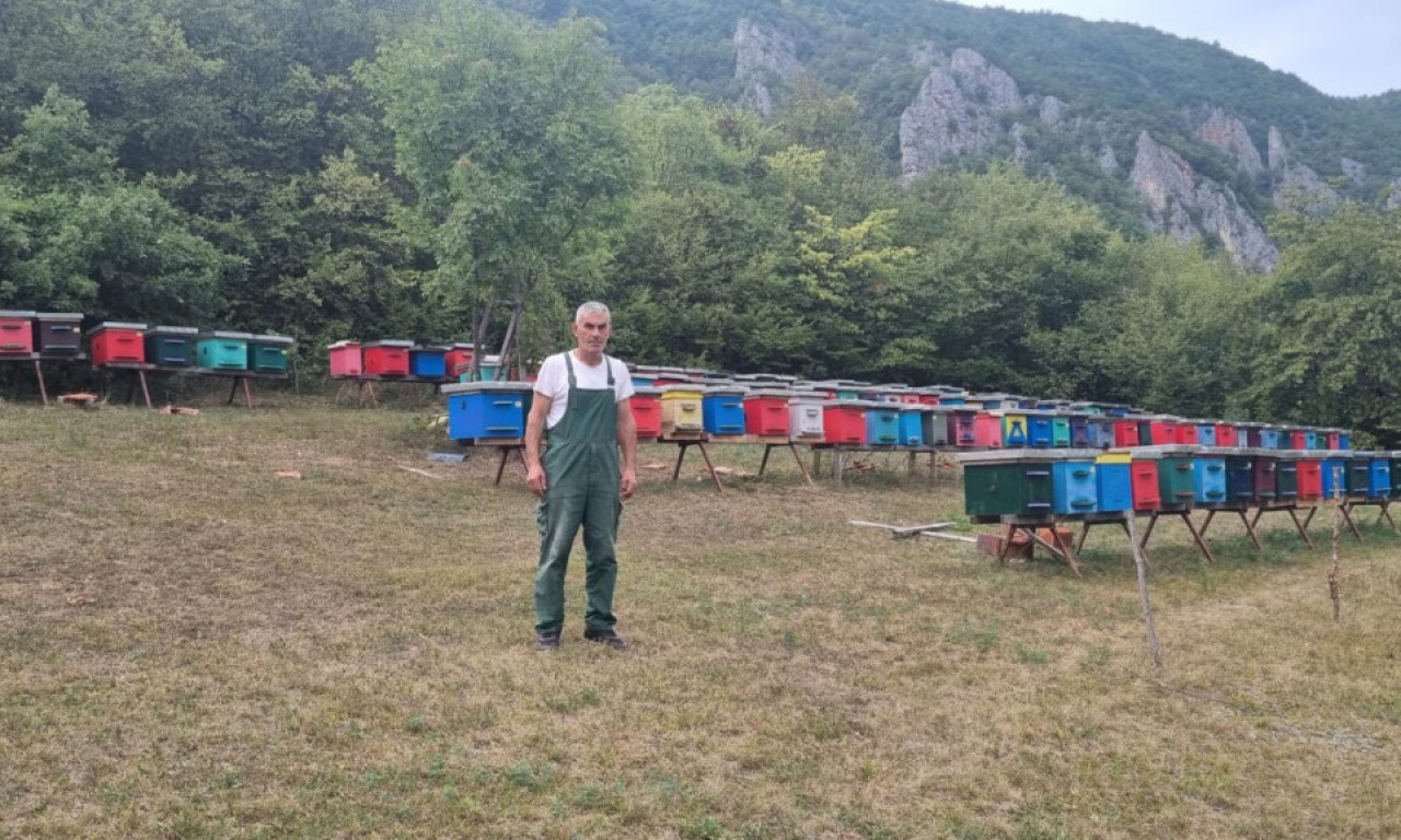 Dobru košnicu može da napravi samo stolar, koji se bavi pčelarstvom - Esad SPOJIO LJUBAV i ZANAT u unosan biznis