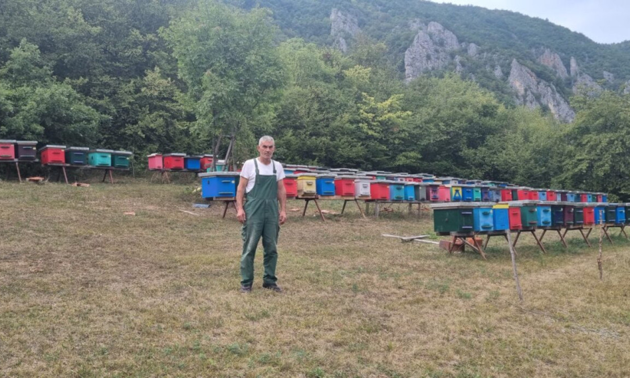 Dobru košnicu može da napravi samo stolar, koji se bavi pčelarstvom - Esad SPOJIO LJUBAV i ZANAT u unosan biznis