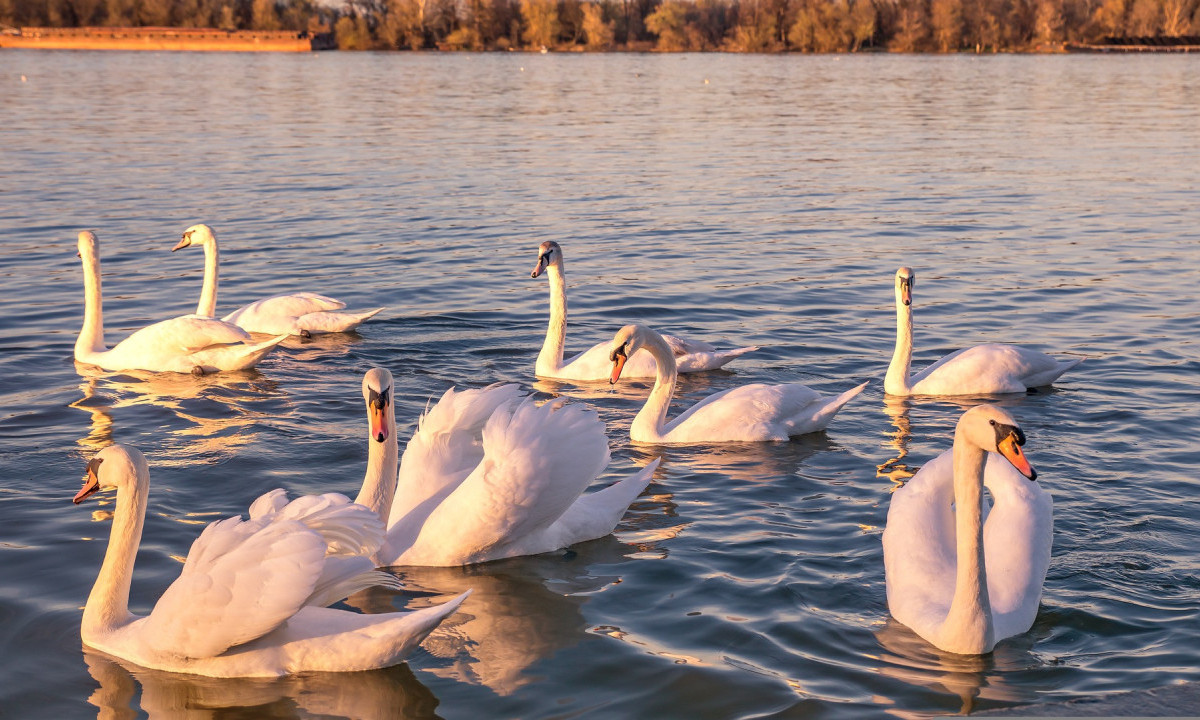 Jakna za JUTRO, kratki rukavi u PODNE - Miholjsko leto SVE DO VIKENDA, a posle...