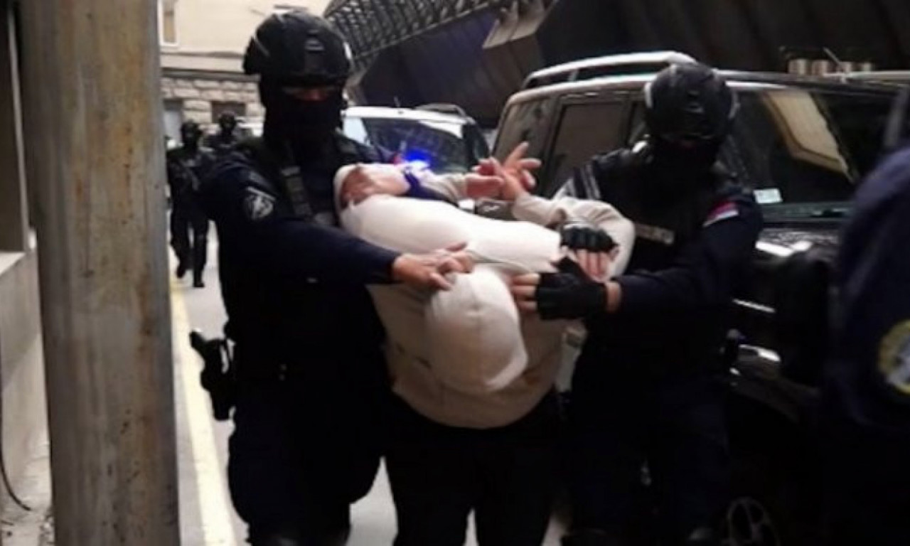 Načelnik SBPOK: Vračarce smo "RADILI" pre Europola, slede nova hapšenja