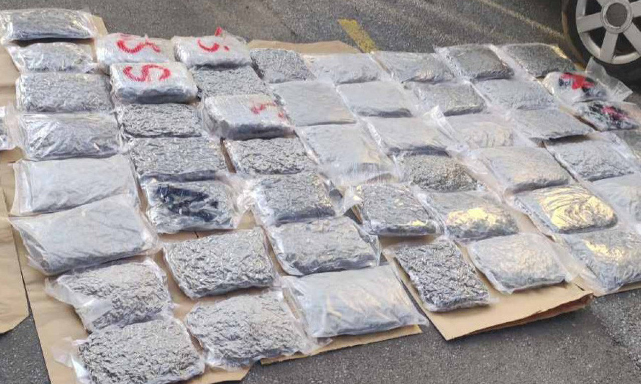 Belgija ima toliko zaplenjenog KOKAINA da nema gde da ga SPALI