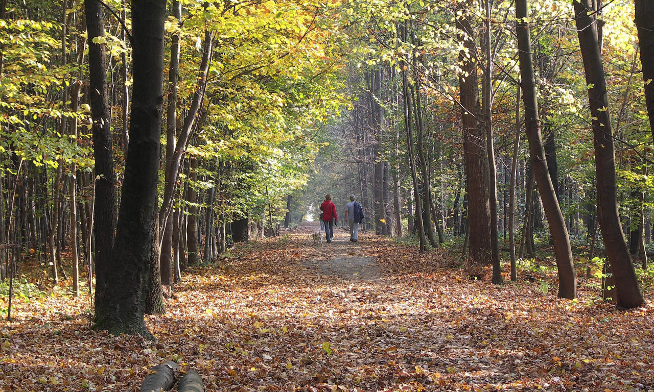 STIŽE NAM LETNJI ČETVRTAK Sutra najtopliji dan za ovo doba godine, RHMZ objavio najnoviju prognozu