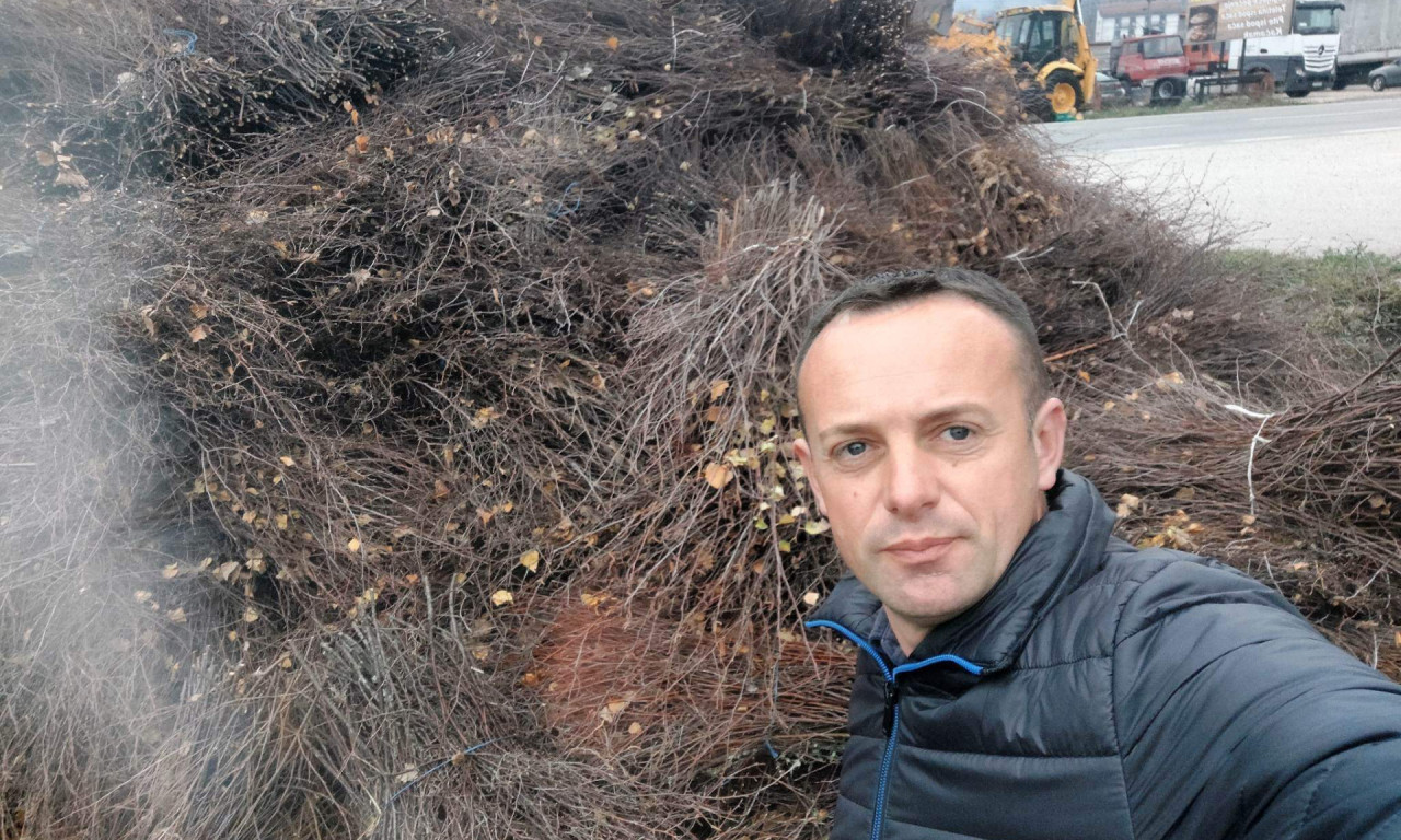 Kad završi posao na njivi Njegoš se okrene pravljenju BREZOVIH metli - posao LAK, zarada DOBRA