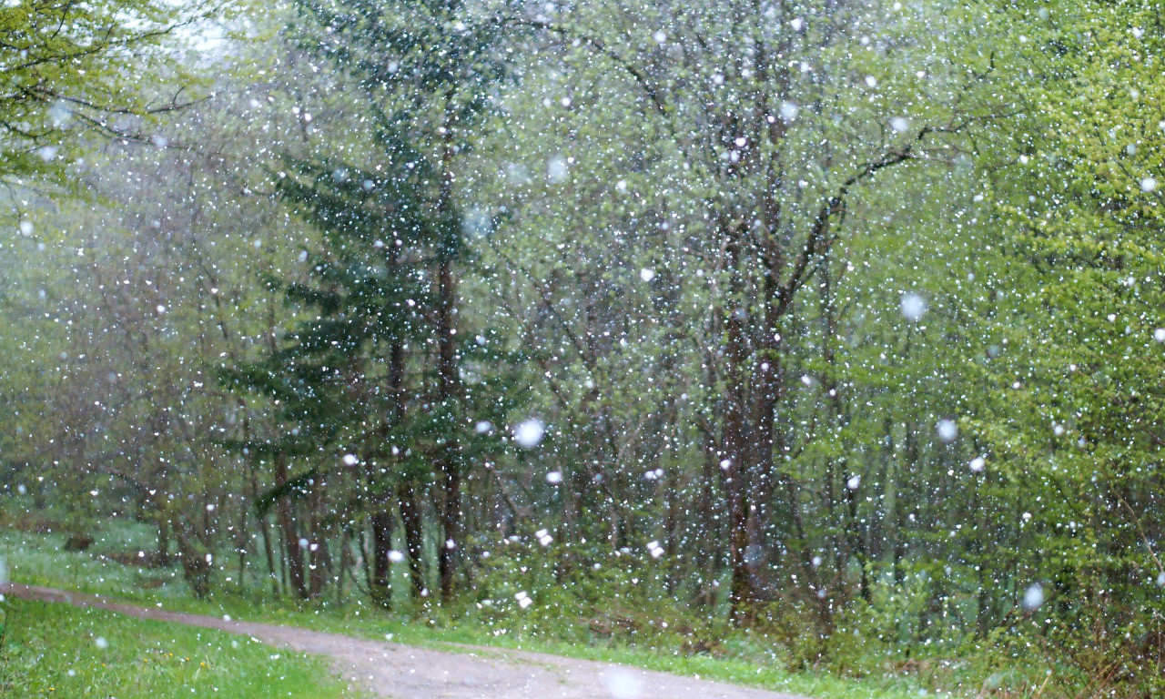 Kapa, šal, rukavice... SUSNEŽICA i SNEG i u nižim krajevima, HLADNO I ZA VIKEND