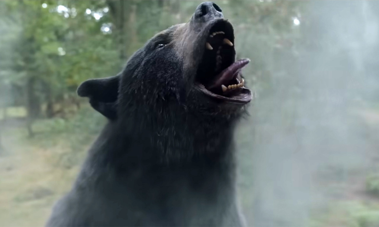Zabava uz DOZU STRAVE: Objavljen trejler za film o medvedu koji je PROGUTAO TORBU SA KOKAINOM