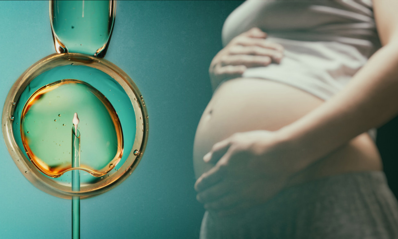 LEPE VESTI iz GAK Narodni front: PRVA TRUDNOĆA sa doniranim spermatozoidima