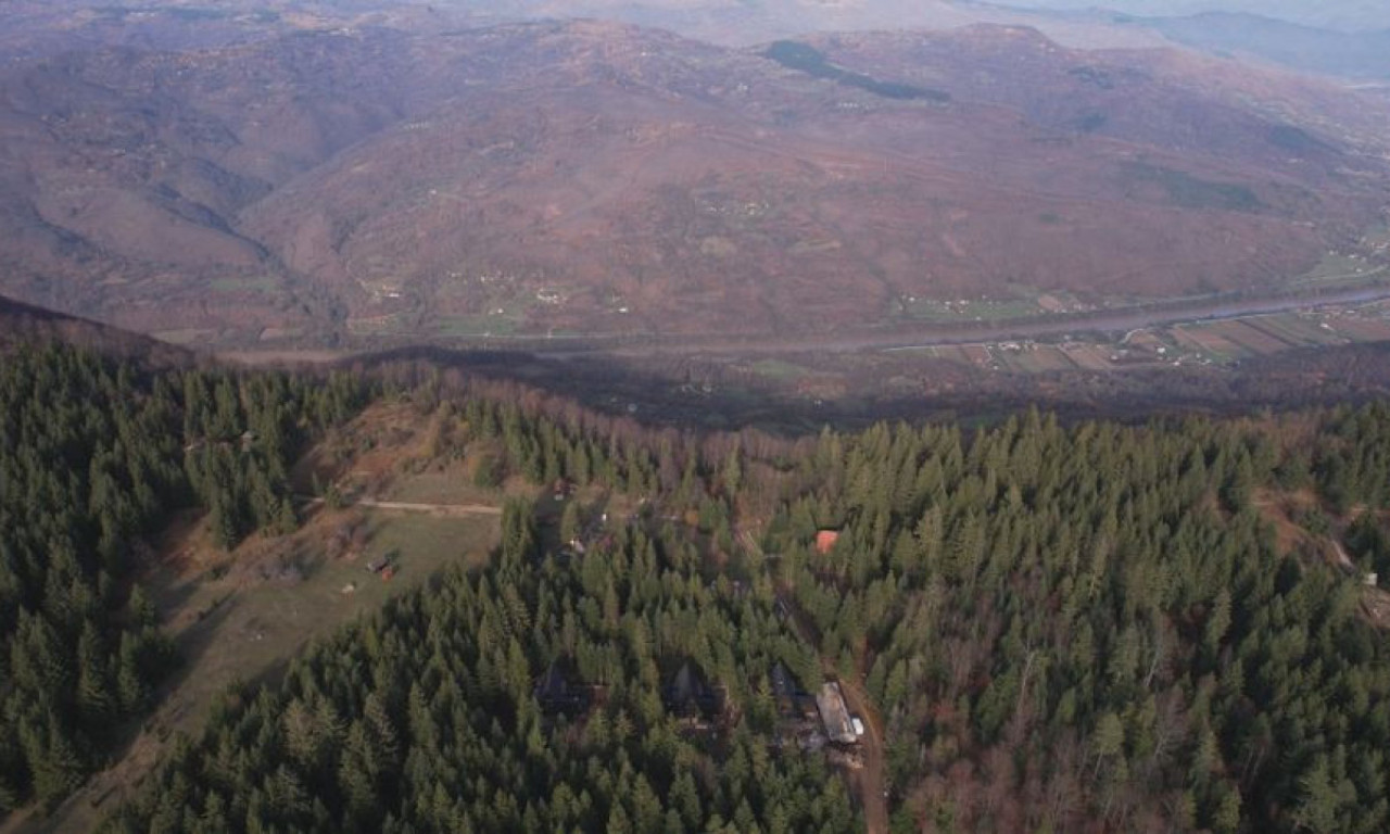 NESVAKIDAŠNJI PRIZOR U SRPSKOJ ŠUMI Kamere snimile životinju "kada joj vreme nije" - opušteno ruča (VIDEO)