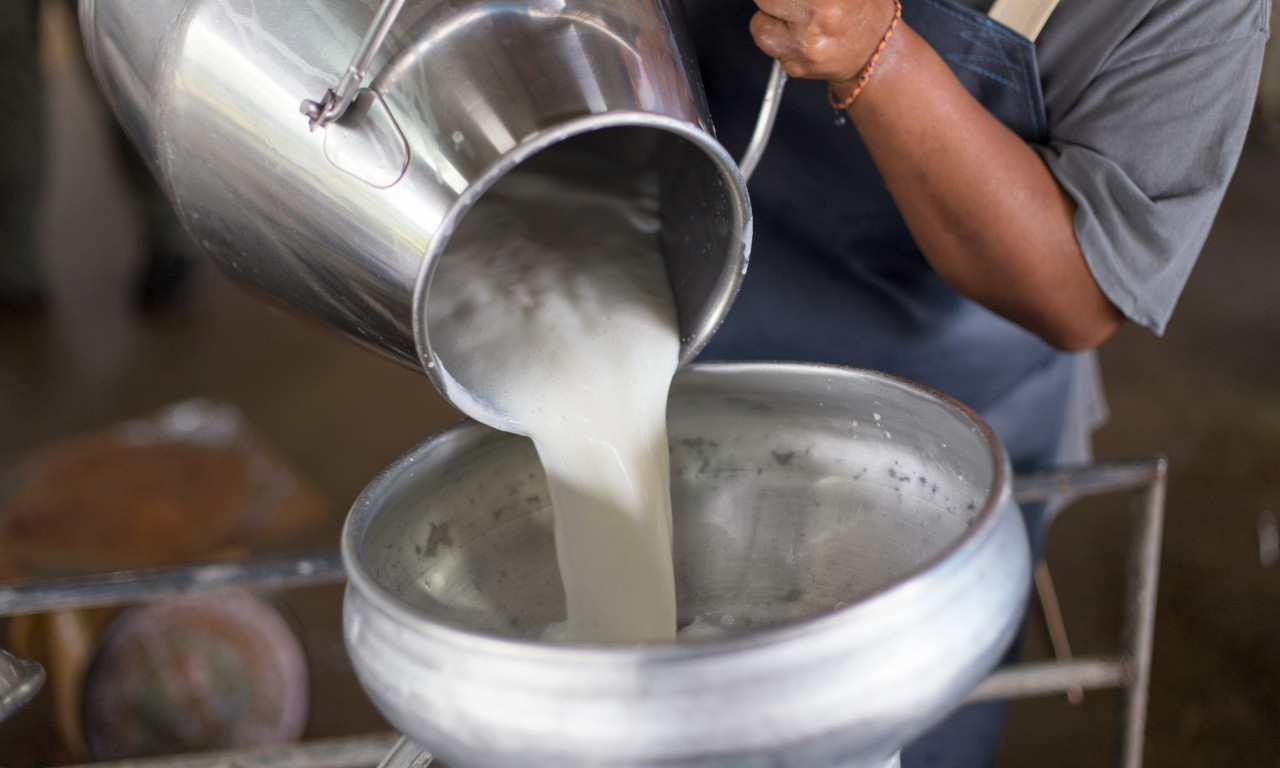 Odobren IZVOZ mleka, što je dobro za proizvođače - najviše na litru zarade trgovine, najmanje stočari
