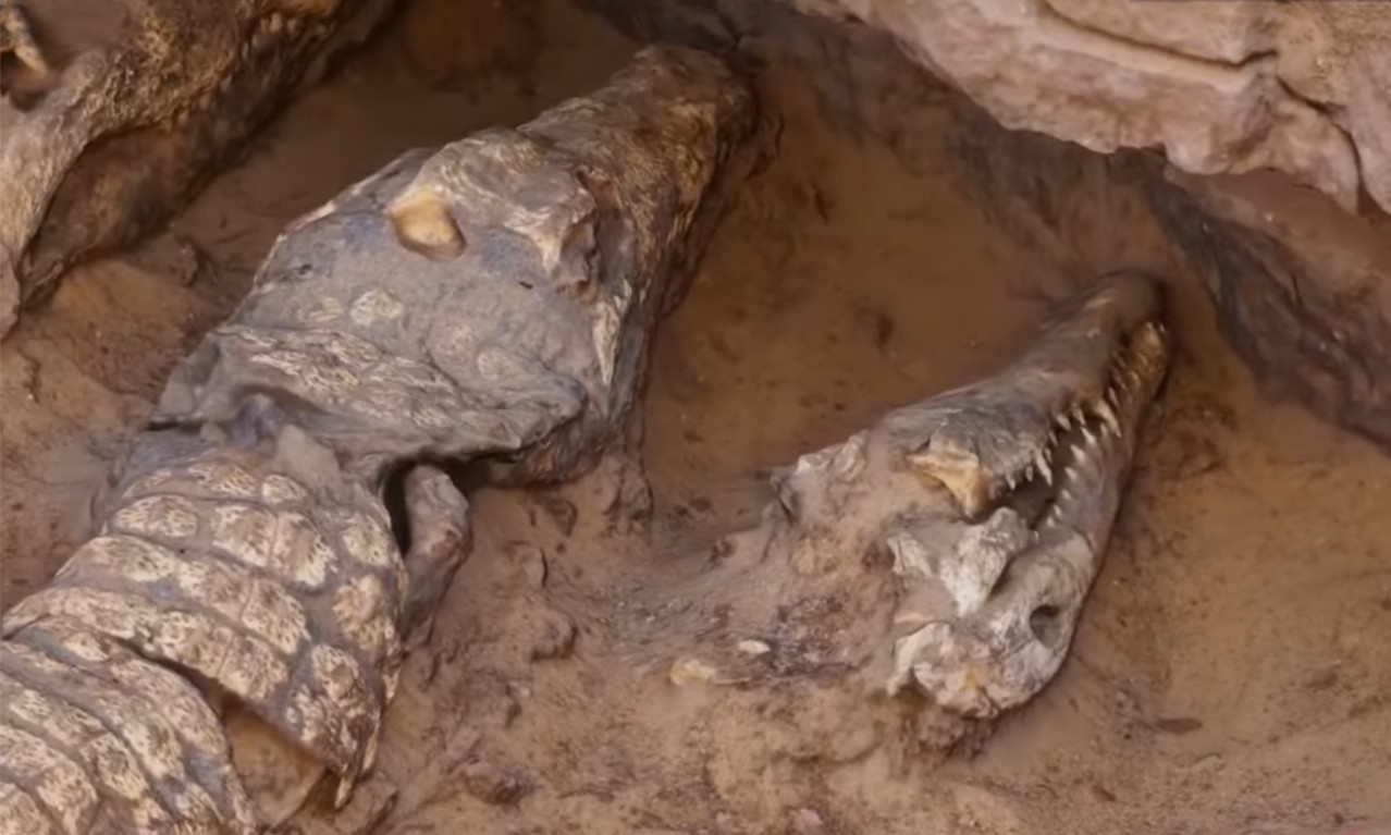 U Egiptu OTKRIVENA GROBNICA sa ostacima mumificiranih KROKODILA