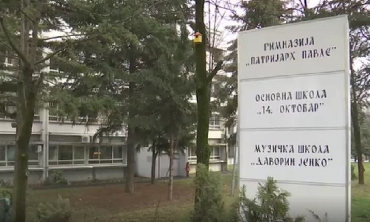 Prvo i prvo - DA ZASADIŠ DRVO: Kako su Todor i Ognjen naučili VAŽNU ŽIVOTNU LEKCIJU