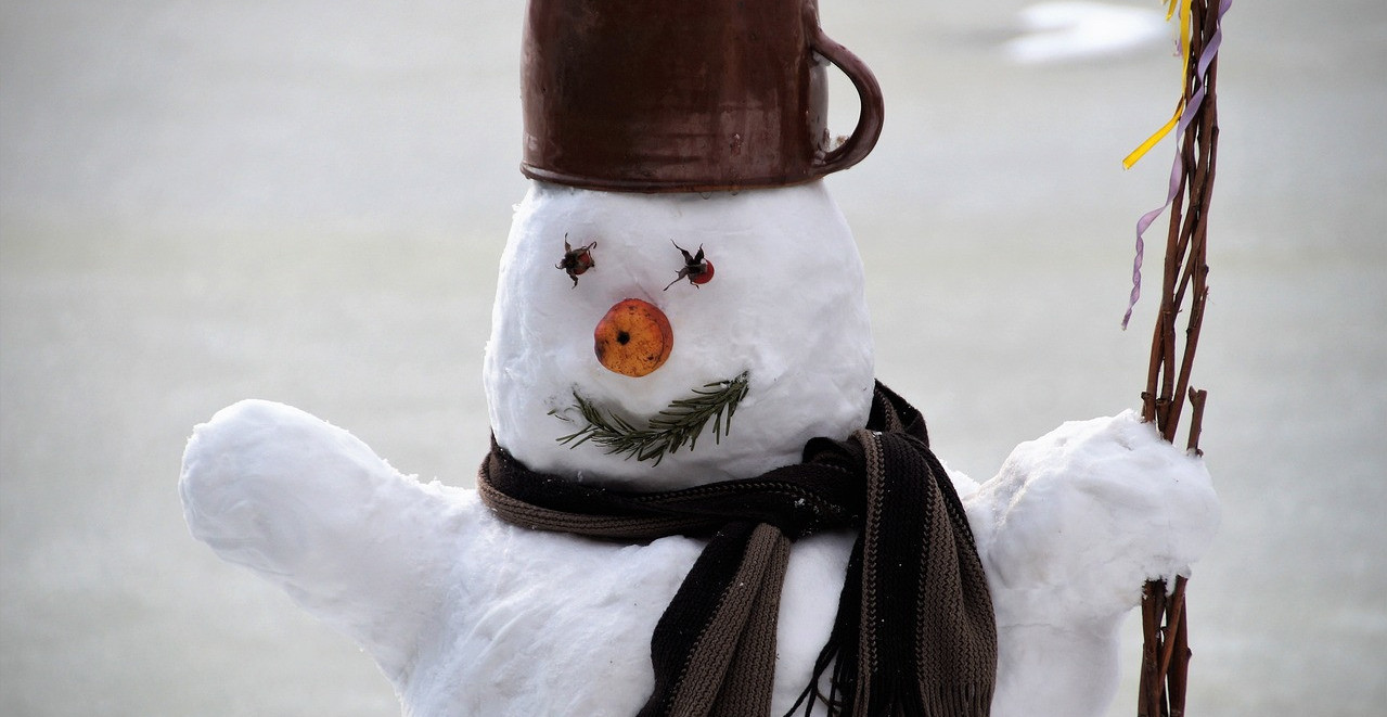 DECA JOJ SRUŠILA SNEŠKA, A ONA ZAPUCALA IZ PIŠTOLJA Uhapšena žena - policija ostala u šoku šta je sve imala u kući