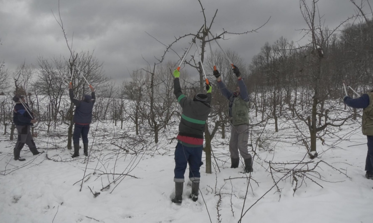 Ovo su NAJTRAŽENIJI MAJSTORI Srbije u toku zime: Dolaze iz Brusa i sada imaju PUNE RUKE posla