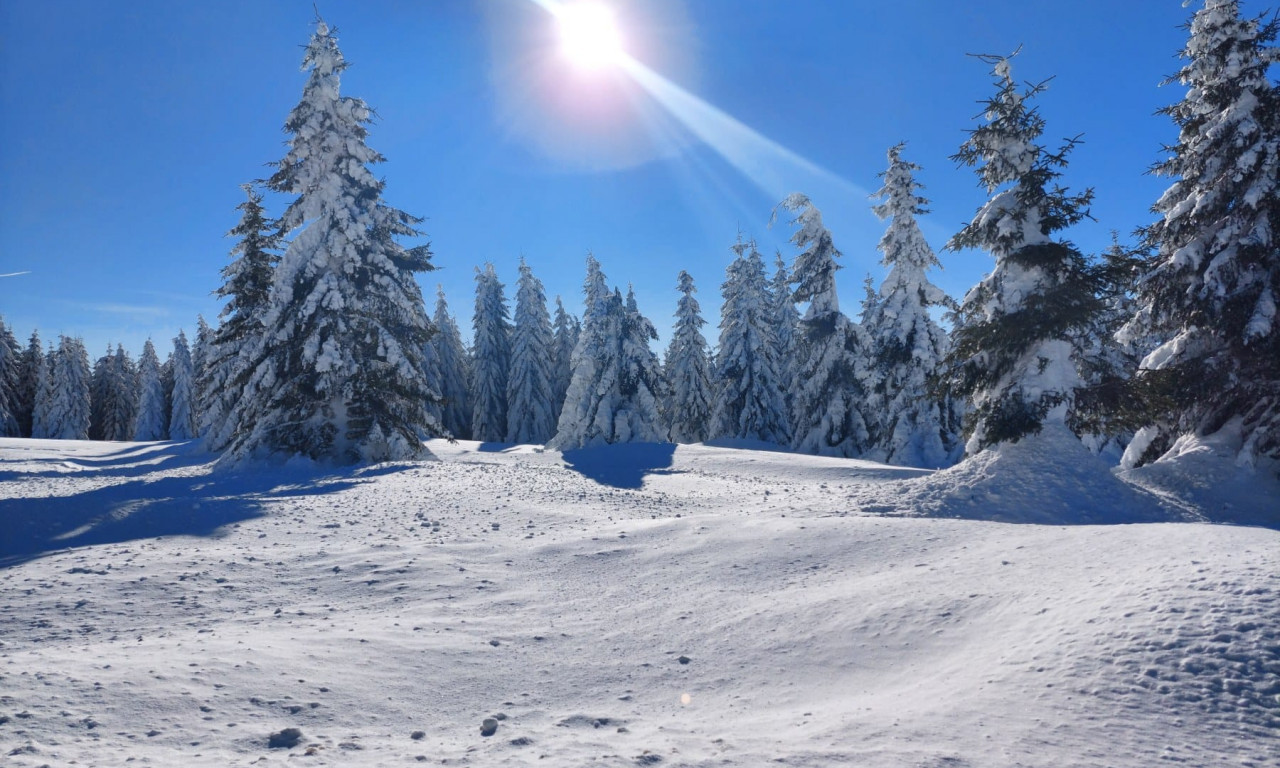 Zimska IDILA na kraju marta: Snežna MEĆAVA preko noći OKOVALA Goliju