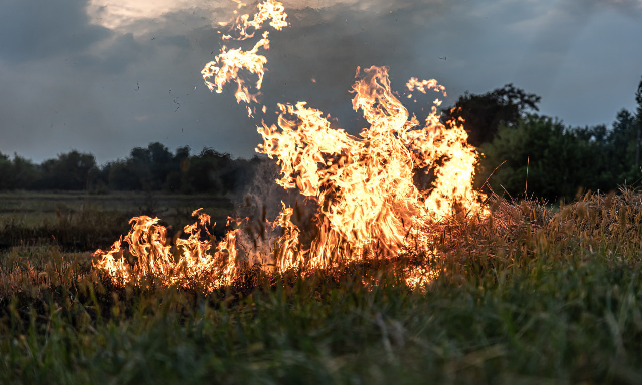 GORI NISKO RASTINJE KOD RUME Vetar raznosi plamen, vije se i gusti dim
