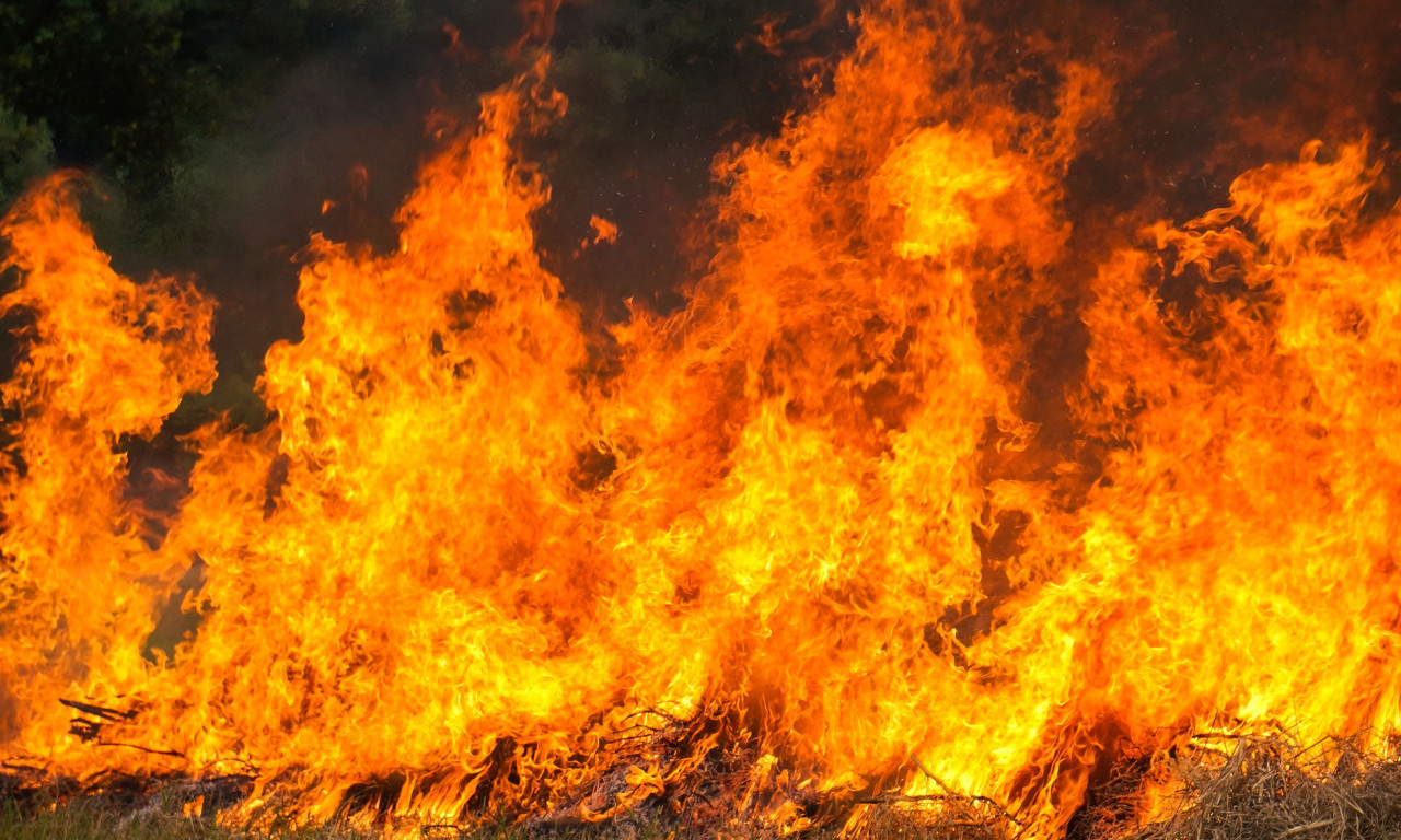 POŽAR "PROGUTAO" SPLAV NA NOVOM BEOGRADU Čule se detonacije, vatrogasci se jedva izborili sa vatrenom stihijom (VIDEO)