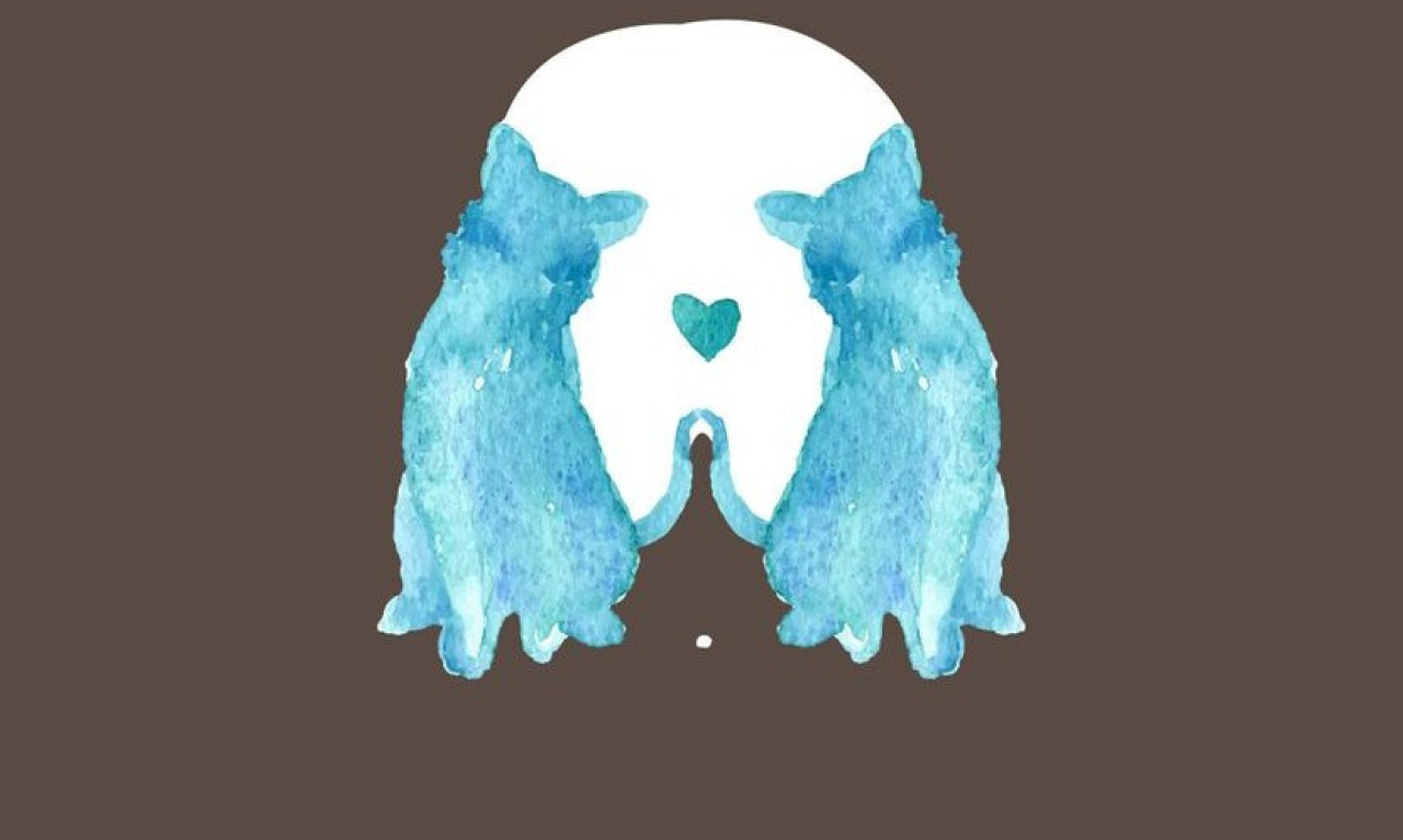 Da li VOLITE DRUŠTVO ili ste VUK SAMOTNJAK? Odgovor je u onome što ste PRVO ZAPAZILI na ovoj slici