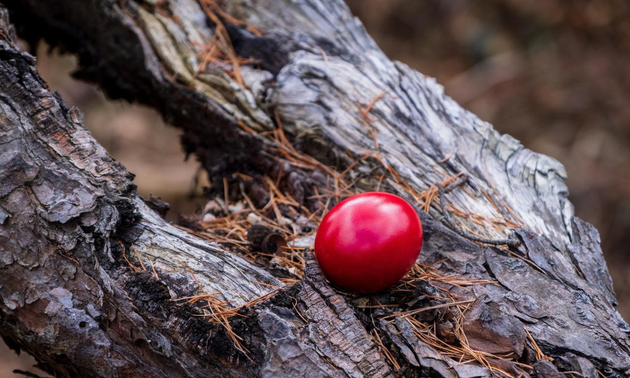 Da li znate šta treba uraditi sa ČUVARKUĆOM od prošle godine? Evo šta nalažu STARI OBIČAJI