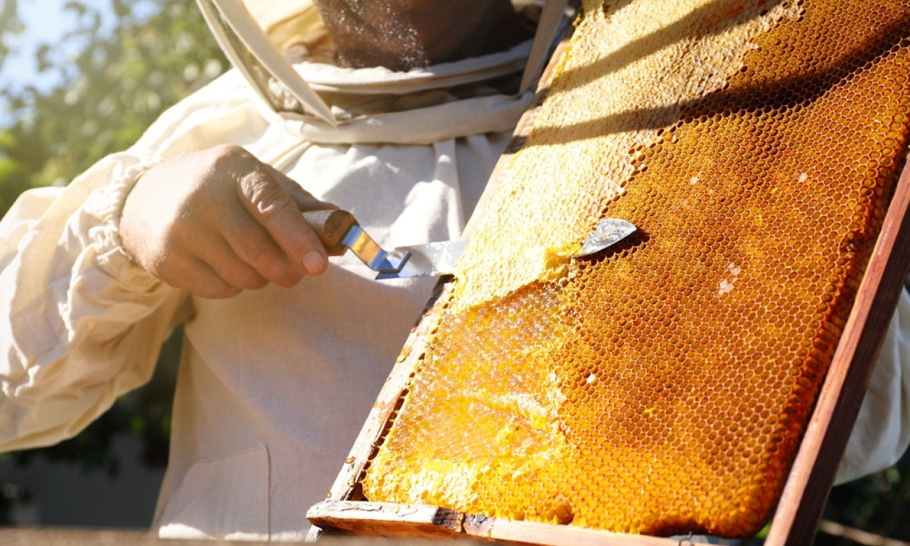 NA ZLATIBORU: Prvi pčelarski sajam Jugozapadnog Balkana 17. oktobra