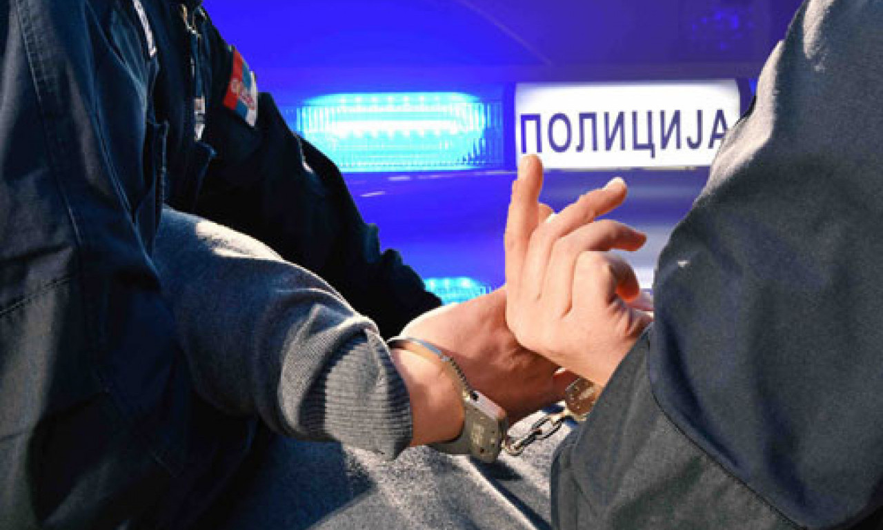 UHAPŠEN čovek koji je na PROTESTU nosio LUTKU Vučića sa OMČOM oko vrata