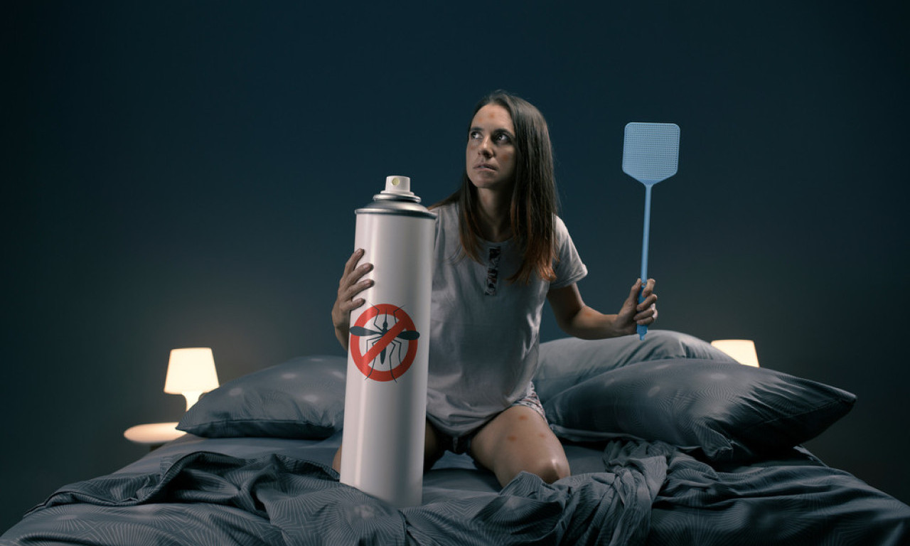 Verovali ili ne, da li će biti NAJEZDE KOMARACA u velikoj meri zavisi - OD NAS SAMIH, evo i kako