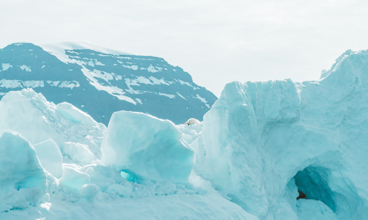 Budi se "ČUDOVIŠTE Antarktika", istraživač ZABRINUT: Može da OTPLUTA u more s nama na njemu