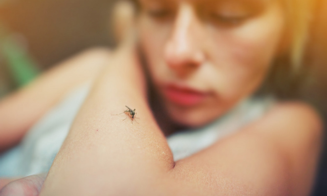 Postanite NEVIDLJIVI za komarce - ovo su NAMIRNICE koje će male krvopije držati DALEKO OD VAS