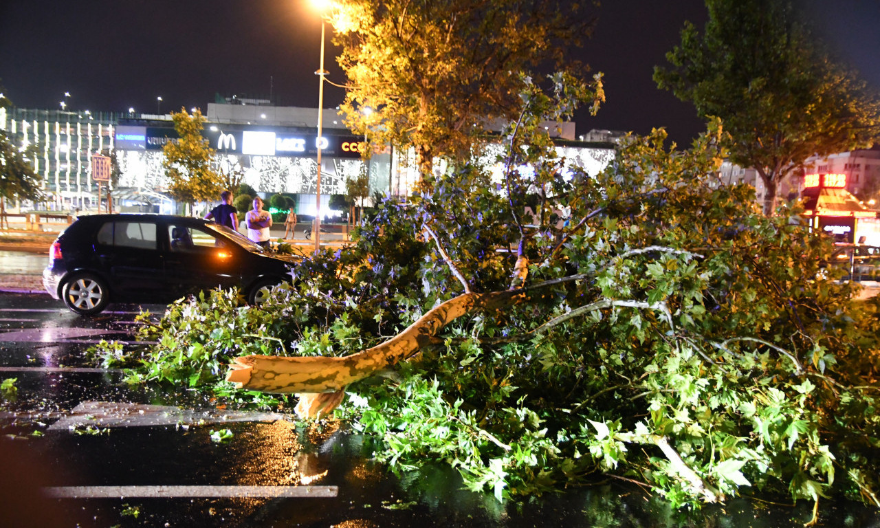OLUJA nosila KROVOVE, obarala drveće na kola, uništeni su USEVI... a ko će da plati tu ŠTETU?