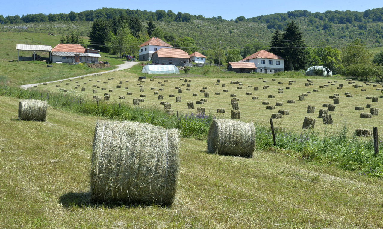 SRBIN PRODAJE CELO SEOSKO DOMAĆINSTVO ZA 10.500 EVRA! Plac 6,7 ari, kuća 100 kvadrata, a od grada udaljeno 15 kilometara
