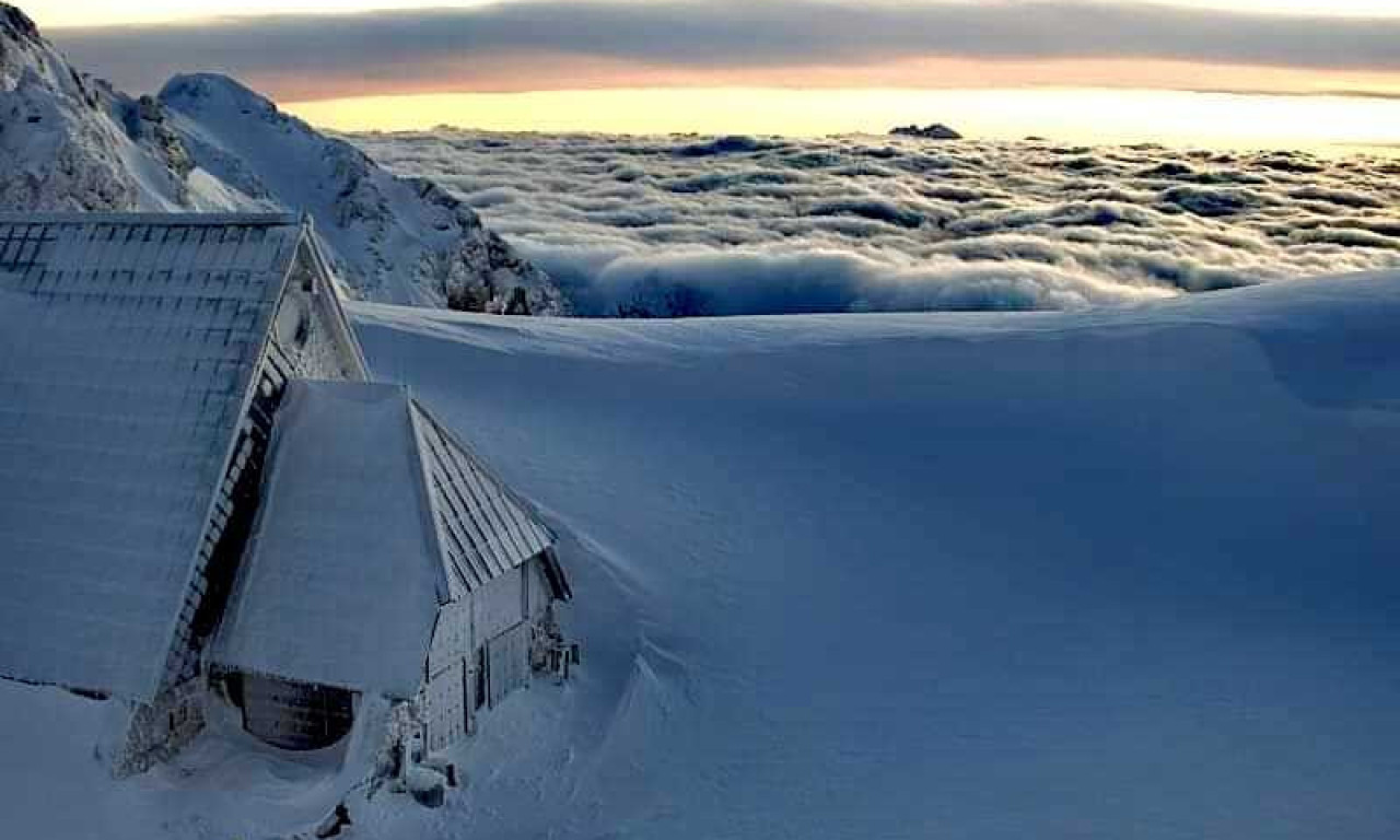 ŽIVOTINJA VIĐENA PRE VIŠE DESETINA MILENIJUMA JE PONOVO NA ZEMLJI Živi ovde, a pogledajte kako izgleda! (FOTO)