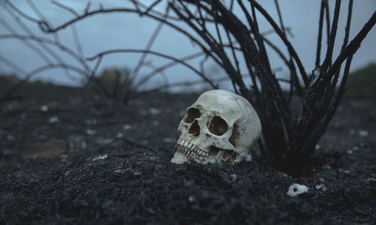 USKRS SE PRETVORIO U HOROR! Ljudska lobanja nađena tokom potrage za uskršnjim jajima