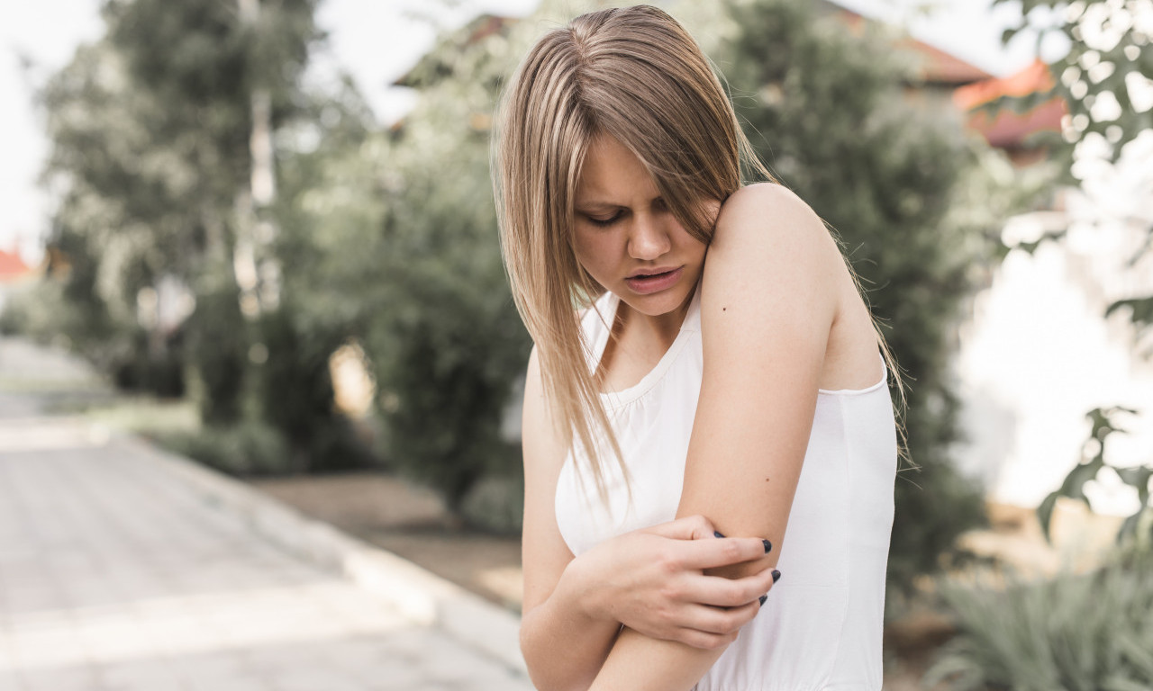 IMA LI RAZLOGA ZA PANIKU? Zaraženi komarci u Beogradu - evo šta treba odmah da uradite! (VIDEO)