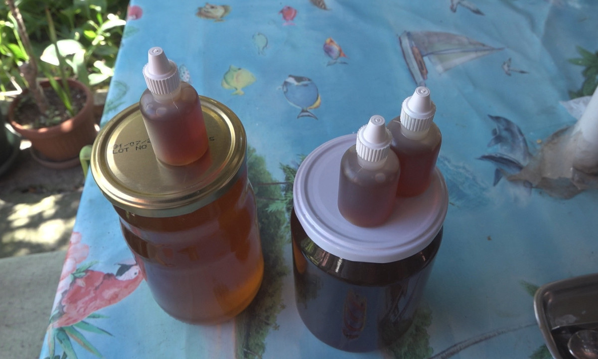 NAJLEKOVITIJA NAMIRNICA koju možemo dobiti samo od prirode: MED i PROPOLIS koriste se i kao HRANA i kao LEK