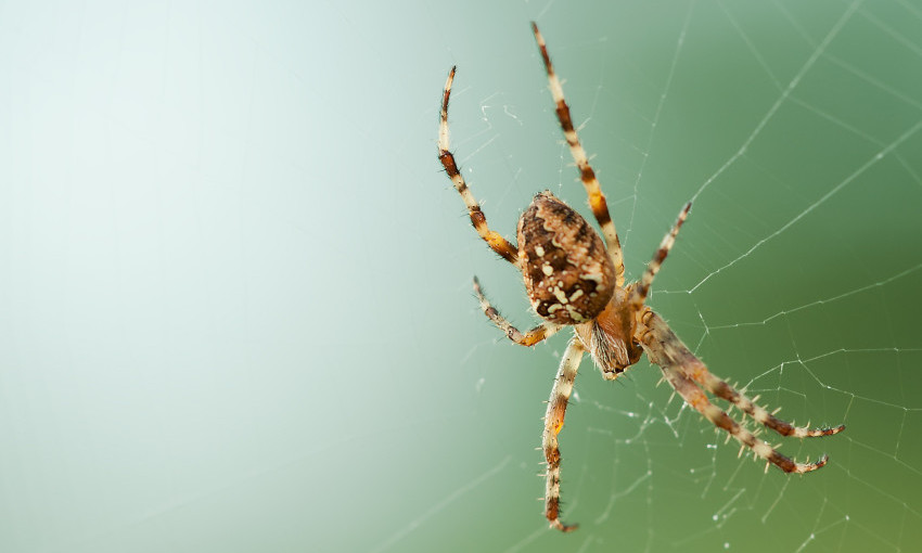 NEBO SU PREKRILE CRNE TAČKE: Dohvatili su telefone da sve snime, a onda shvatili o čemu se radi i pretrnuli od straha