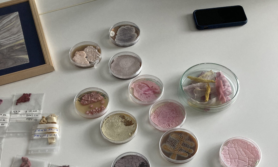 OTVARANJE izložbe radova PROTKANIH bio-pigmentima: &quot;Neka druga mesta&quot; u Muzeju primenjene umetnosti