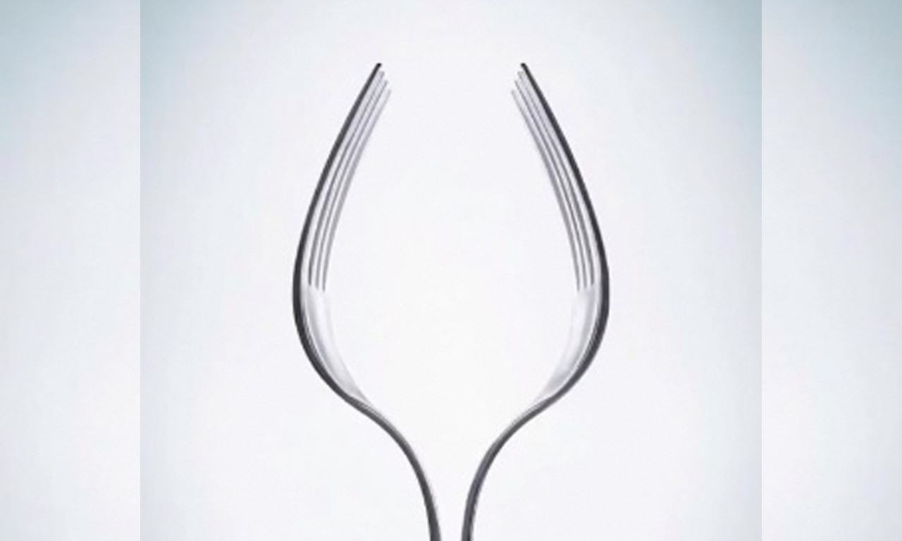 ŠTA PRVO VIDITE? Ova optička iluzija otkriva da li ste SNAŽNE VOLJE I TVRDOGLAVI ili BRIŽNI I SIMPATIČNI