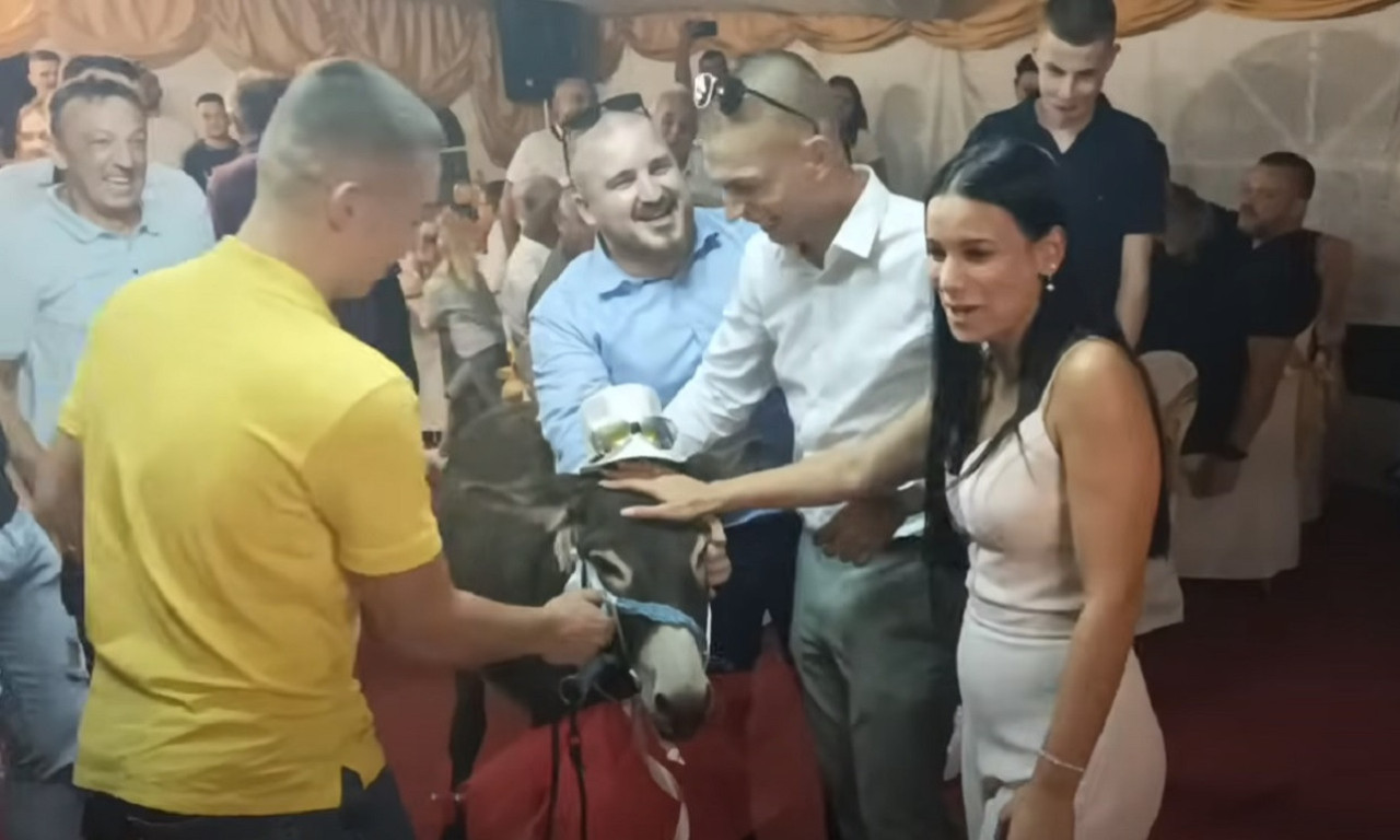 A od devera - MAGARAC: O svadbi kod Prnjavora svi pričaju, MLADENCI ODUŠEVLJENI