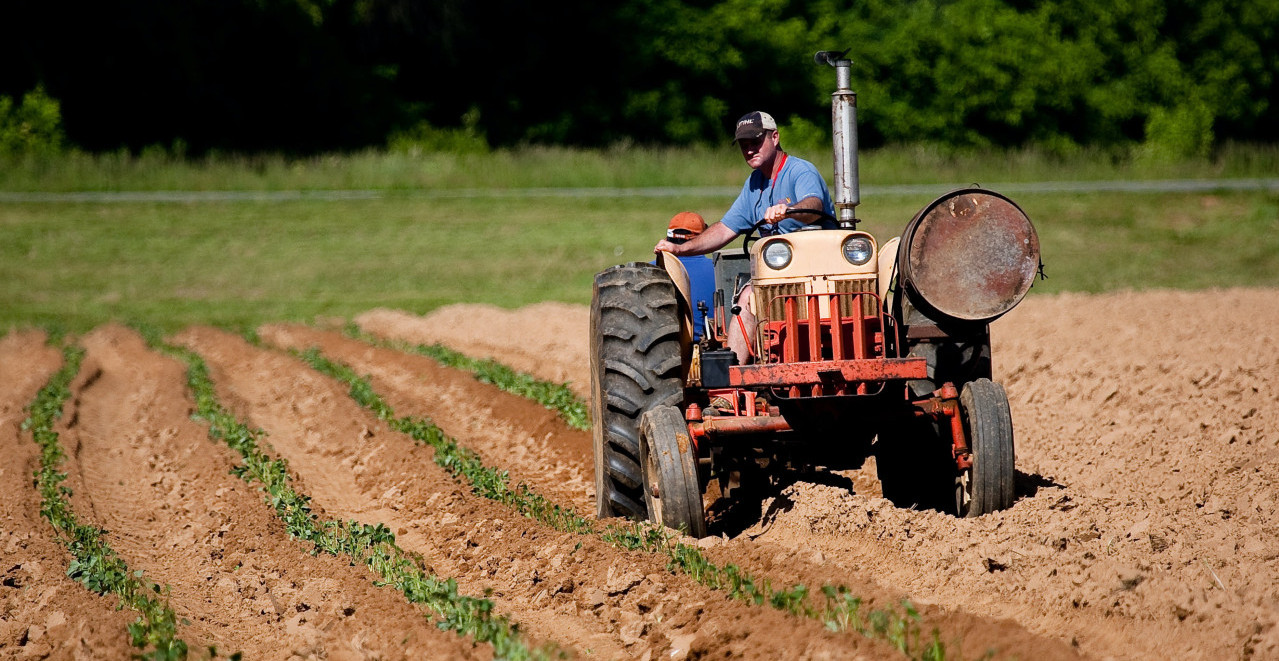 SRBIJA DOMINIRA U REGIONU! Hrvatska i Rumunija daleko iza Srbije kada je reč o POLJOPRIVREDNOJ proizvodnji